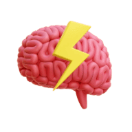 Mind Merits Web by Sapadiya Software